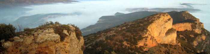 L'extrem oest de la Pala del Coll vist des de la Pala Alta